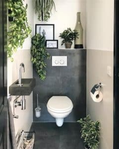 decoration toilette avec plantes décoratives