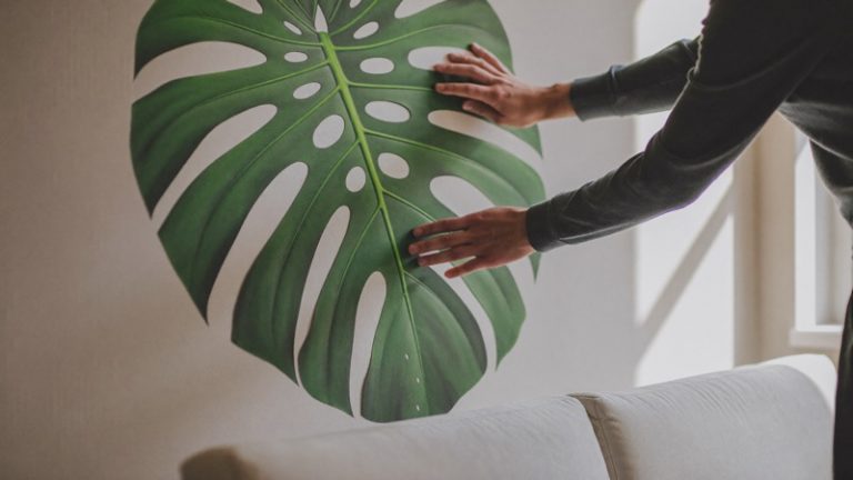 Pose d'un sticker mural végétal dans un salon